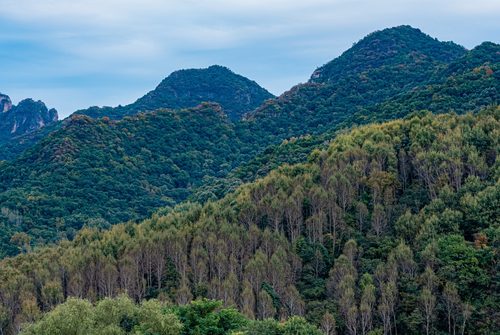 亲子旅行